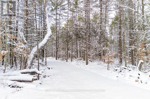 265 Addington Road 4, Frontenac (Frontenac North), ON 