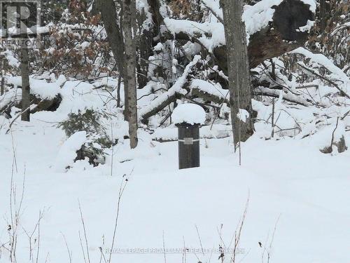 265 Addington Road 4, Frontenac (Frontenac North), ON 