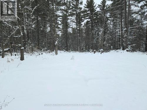 265 Addington Road 4, Frontenac (Frontenac North), ON 