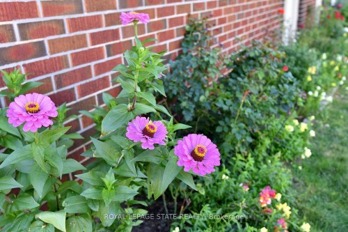 6-29 Sherman Avenue S, Hamilton, ON - 