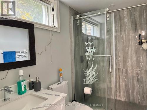 Lower - 69 Marsellus Street, Barrie, ON 