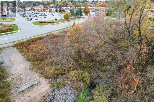 0 Salmon Avenue, Bracebridge (Monck (Bracebridge)), ON 