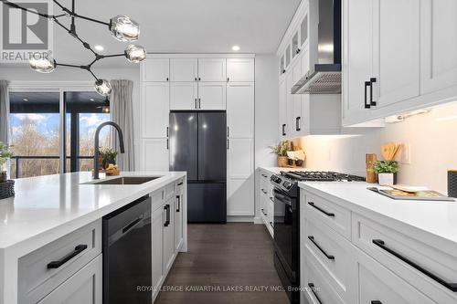 1270 County Road 121, Kawartha Lakes (Verulam), ON - Indoor Photo Showing Kitchen With Upgraded Kitchen
