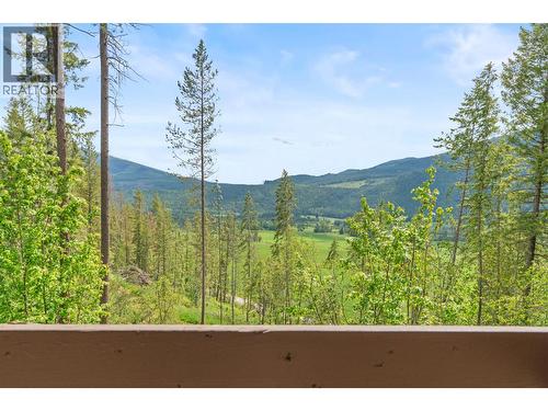 1099 Enderby Mabel Lake Road, Enderby, BC - Outdoor With View