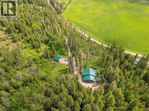 1099 Enderby Mabel Lake Road, Enderby, BC - Outdoor With View