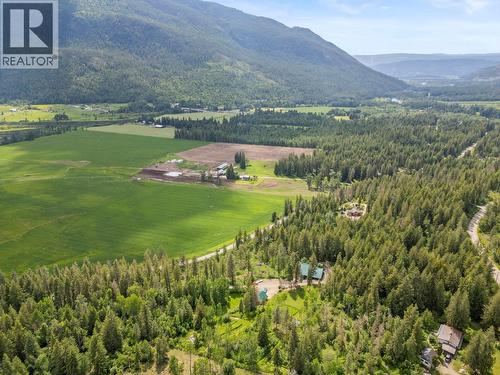 1099 Enderby Mabel Lake Road, Enderby, BC - Outdoor With View
