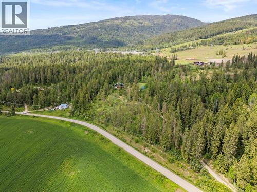 1099 Enderby Mabel Lake Road, Enderby, BC - Outdoor With View