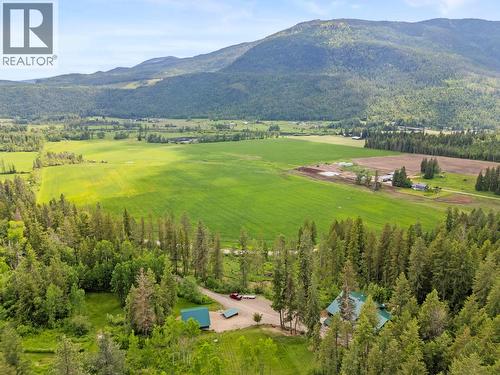 1099 Enderby Mabel Lake Road, Enderby, BC - Outdoor With View