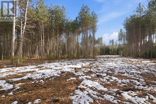 1055 Irondale Road, Minden Hills (Snowdon), ON - Outdoor With View