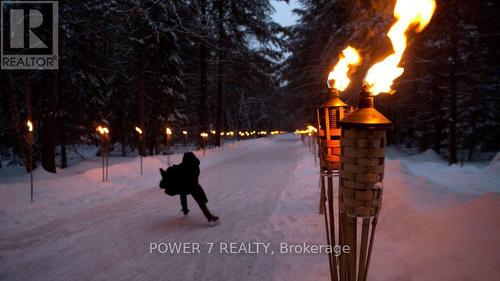 101 - 241 Crescent Bay Lane, Huntsville, ON - Outdoor