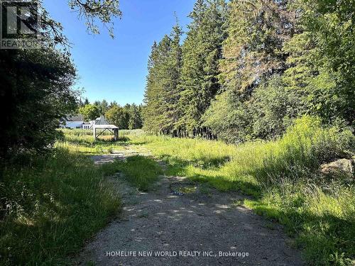 10346 Mccowan Road, Markham, ON - Outdoor With View