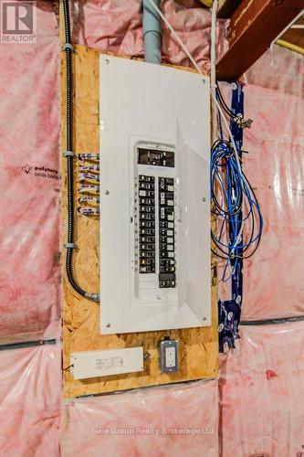 675 Elizabeth Street, Woodstock (Woodstock - North), ON - Indoor Photo Showing Basement