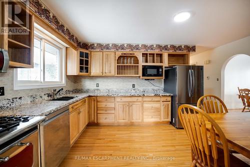 133 Burwell Street, Brantford, ON - Indoor Photo Showing Kitchen With Double Sink