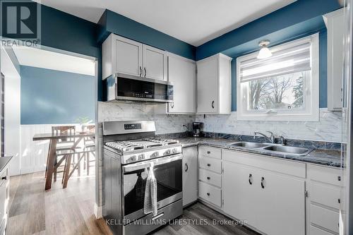 141 Graham Street, Southwest Middlesex (Glencoe), ON - Indoor Photo Showing Kitchen With Double Sink
