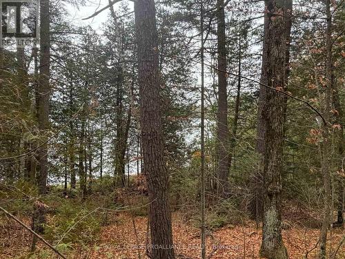 1070 Perry Lane - Lot 1 Lane, North Frontenac (Frontenac North), ON 