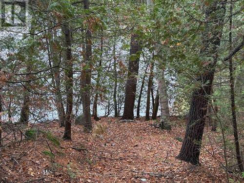 1070 Perry Lane - Lot 1 Lane, North Frontenac (Frontenac North), ON 