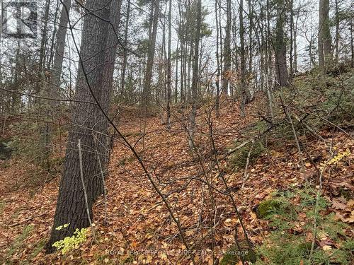 1070 Perry Lane - Lot 1 Lane, North Frontenac (Frontenac North), ON 