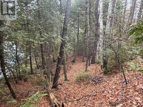 1070 Perry Lane - Lot 1 Lane, North Frontenac (Frontenac North), ON 