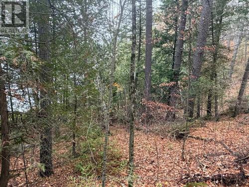 1070 Perry Lane - Lot 1 Lane, North Frontenac (Frontenac North), ON 