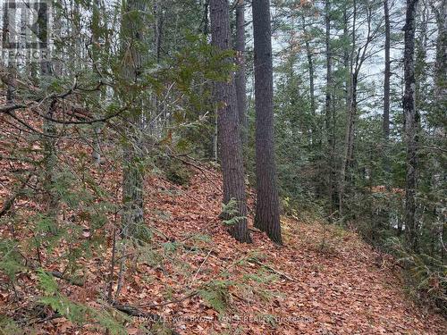 1070 Perry Lane - Lot 1 Lane, North Frontenac (Frontenac North), ON 