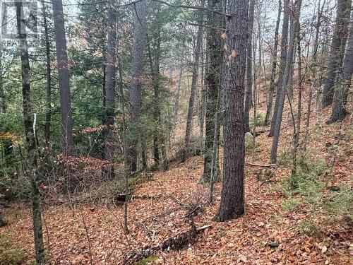 1070 Perry Lane - Lot 1 Lane, North Frontenac (Frontenac North), ON 