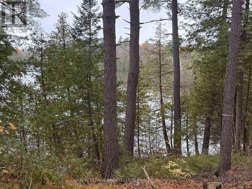 1070 Perry Lane - Lot 2 Lane, North Frontenac (Frontenac North), ON 