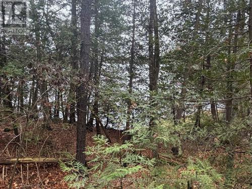 1070 Perry Lane - Lot 3 Lane, North Frontenac (Frontenac North), ON 