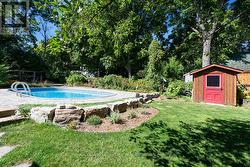 Gorgeous backyard oasis - 