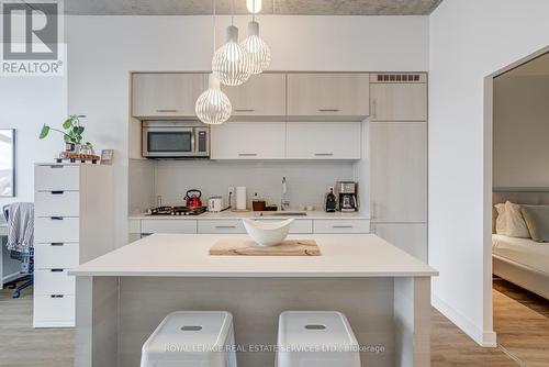 417 - 205 Manning Avenue, Toronto, ON - Indoor Photo Showing Kitchen