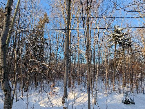 Terre/Terrain - Boul. Du Roi-Charles, Saint-Jérôme, QC 