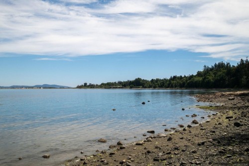 83-2600 Ferguson Rd, Central Saanich, BC 