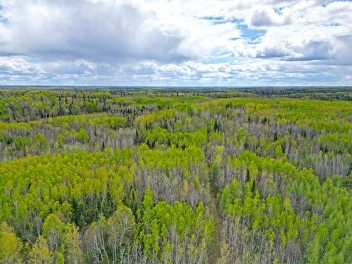 1191 Gonyou Road, Upsala, ON 