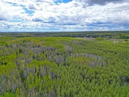 1191 Gonyou Road, Upsala, ON 