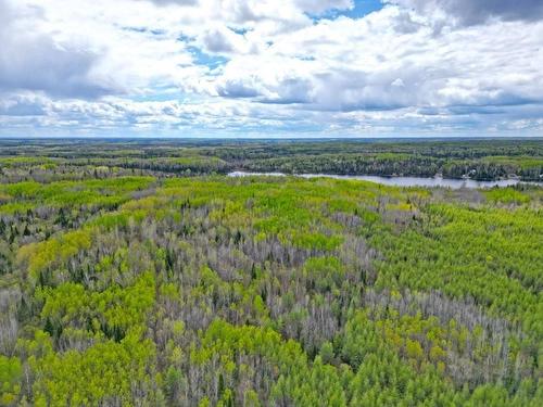 1191 Gonyou Road, Upsala, ON 