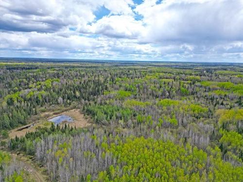 1191 Gonyou Road, Upsala, ON 