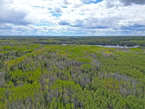 1191 Gonyou Road, Upsala, ON 