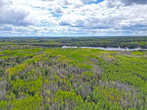 1191 Gonyou Road, Upsala, ON 