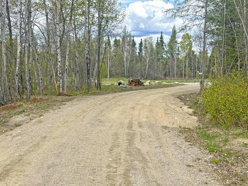 1191 Gonyou Road, Upsala, ON 