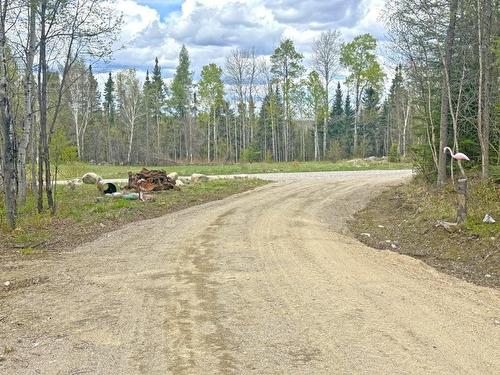 1191 Gonyou Road, Upsala, ON 