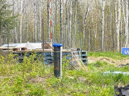 1191 Gonyou Road, Upsala, ON 