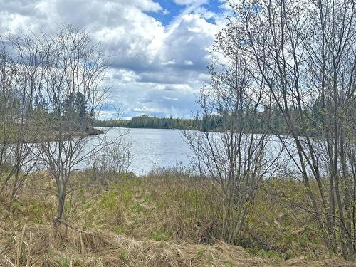 1191 Gonyou Road, Upsala, ON 