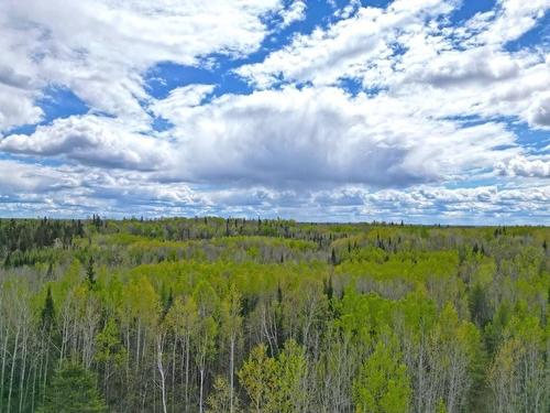 1191 Gonyou Road, Upsala, ON 