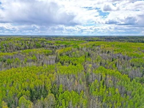 1191 Gonyou Road, Upsala, ON 