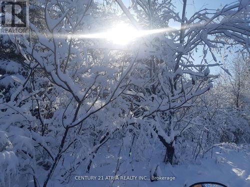 24 - 4 Paradise Boulevard, Ramara, ON - Outdoor With View