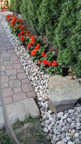 44 Wigwoss Drive, Vaughan, ON - Outdoor