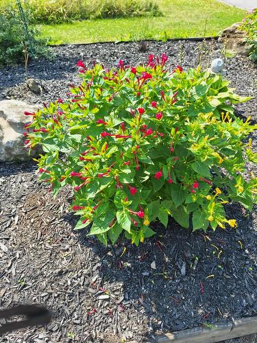 Autre - 80 Rue Du Domaine-Sourdif S., Saint-Liguori, QC - Outdoor