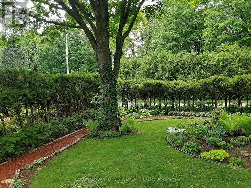 248 Borden Road, Mississippi Mills, ON - Outdoor