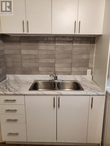 2 - 396 Simcoe Street, Brock, ON - Indoor Photo Showing Kitchen With Double Sink