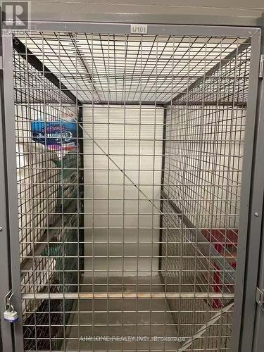 1009 - 125 Blue Jays Way, Toronto, ON - Indoor