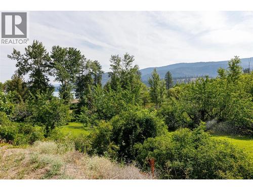 16821 Owl'S Nest Road, Oyama, BC - Outdoor With View
